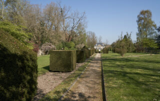 allée dans le parc du château de fleury