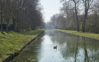 canal bordé par les arbres dans les jardins